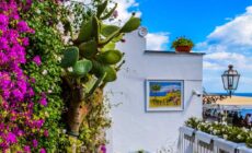 Idées pour l'aménagement extérieur de la maison transformez votre jardin en un havre de paix
