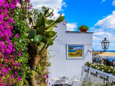 Idées pour l'aménagement extérieur de la maison transformez votre jardin en un havre de paix